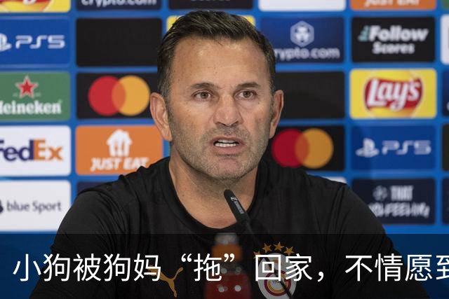 小狗被狗妈“拖”回家，不情愿到连爪子都在控诉：我还要玩！