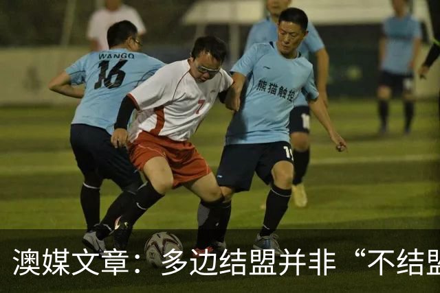 澳媒文章：多边结盟并非“不结盟现代版”